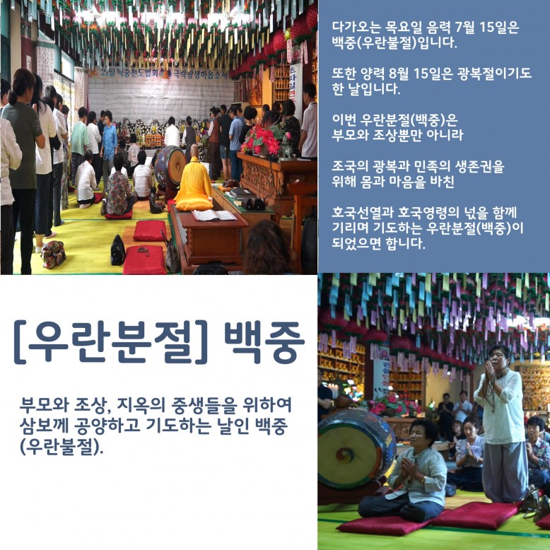 dd0399aba82058848008352d12d73d51_1580352942_5186.jpg